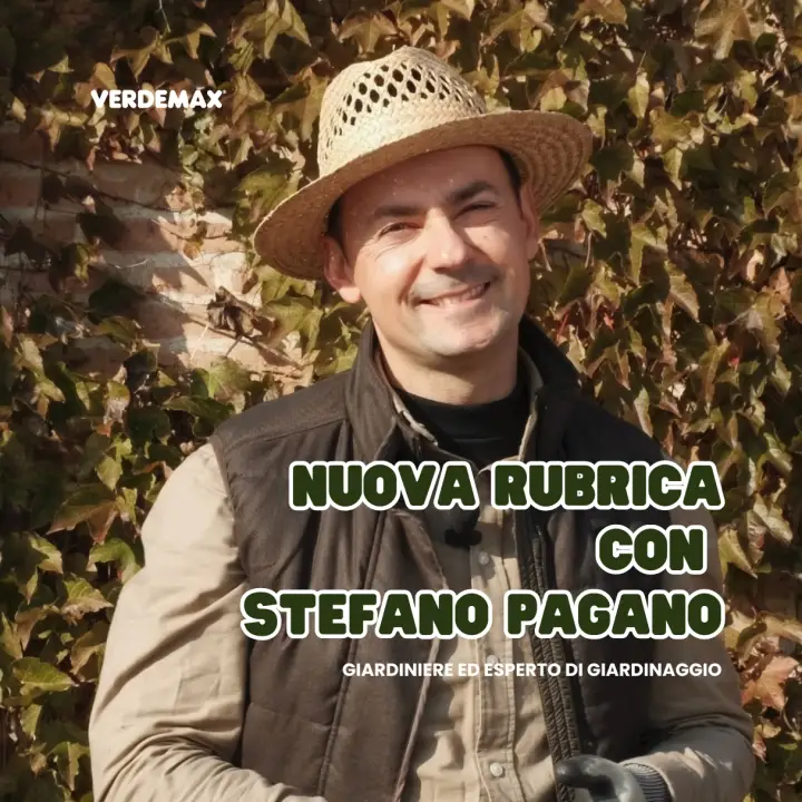 Nuova rubrica in collaborazione con Stefano Pagano