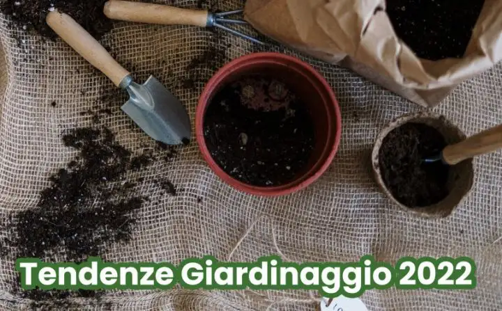 TENDENZE GIARDINAGGIO 2022