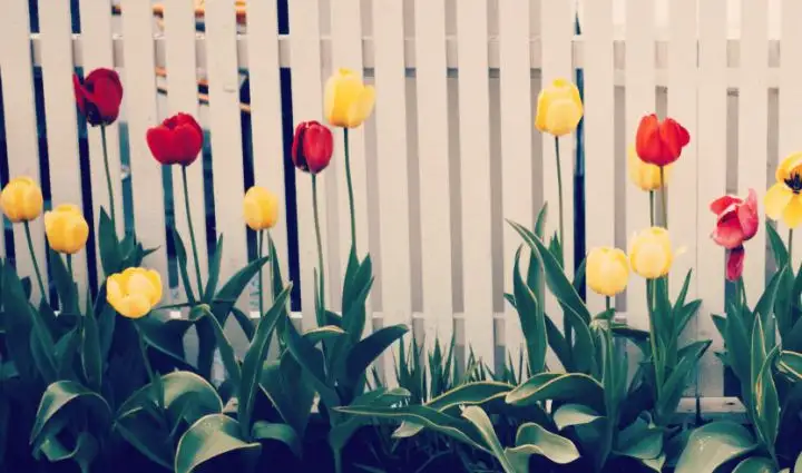 DECORARE IL BALCONE IN PRIMAVERA